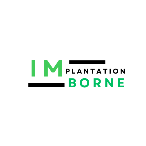 logo implantation borne2